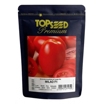xx_semente-tomate-saladette-hibri-4969cfbaa4f787e358a6b0160836ff2c-539-0.webp